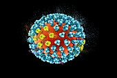 Destruction of bird flu virus, illustration