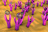 Cell membrane with receptors, illustration