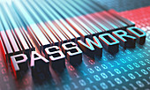 Password barcode