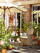 Various potted plants and parasol on comfortable terrace