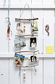 Holiday photos hung from rope ladder with driftwood rungs