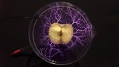 Apple viewed with Kirlian photography