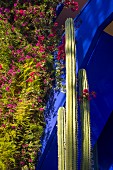 Ultramarinblaue Hausfassade mit Kakteen und blühender Bougainvillea