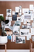 Pin board with architectural photographs and color samples