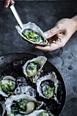Fresh oysters with herbs