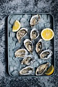 Fresh oysters with lemons on ice