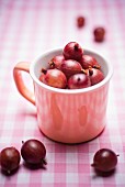 Red gooseberries in a cup