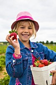 Mädchen hält frisch gerntete Erdbeeren auf einem Erdbeerfeld