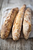 Three french baguettes