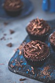 Chocolate cupcakes