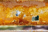 A dripping honeycomb