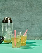 Hangover Killer - alkoholfreier Cocktail mit Pflaumenextrakt und Soda