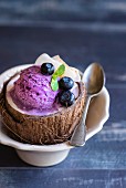 Homemade blueberry ice cream in a coconut shell