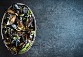 Cooked mussels on a serving platter (seen from above)