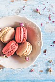 Sweet colorful macaroons in the bowl