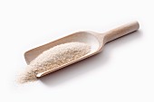 Psyllium seed husks on a wooden scoop