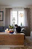 Katze sitzt auf einer Holztruhe als Couchtisch im winterlichen Wohnzimmer