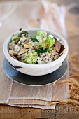 Barley risotto with mushrooms and broccoli