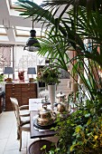 Antique armchair, potted palm tree and dining table in vintage interior