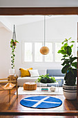 Bright living room with a large houseplant, round carpet, and upholstered sofa