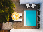 Blick von oben auf Pool, Stühle, Liegen mit Sonnenschirm und Palme