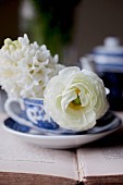 Romantische weiße Blüten in Teetasse auf Buch
