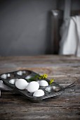 Stillleben mit weisssen Eiern in Metall-Muffinform