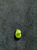 A broad bean on a grey background (seen from above)