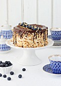 Egg liqueur chocolate cake with blueberries
