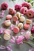 Macarons with pink roses