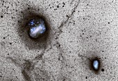 Large and Small Magellanic Clouds, CCD image