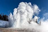 Grand Geyser erupting, Yellowstone National Park, USA
