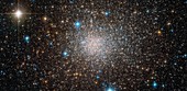 Star cluster Terzan 5, composite image