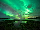Aurora borealis over water