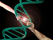 Arms holding DNA model, illustration