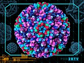 Bluetongue virus capsid
