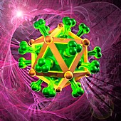 Icosahedral virus capsid