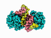Human TATA box-binding protein complex