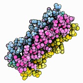 Designer protein RH4 molecule