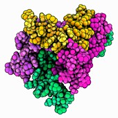 Influenza A virus proton channel