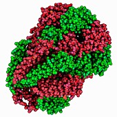 Mechanosensitive channel molecule