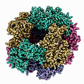 Rotavirus RNA-binding protein 35