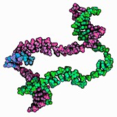 Transcription initiation complex