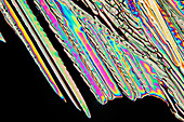 Ammonium Nitrate, polarised light micrograph