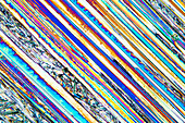 Urea, polarised light micrograph