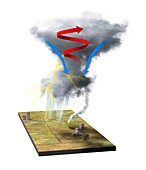 Tornado dynamics, illustration