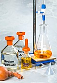 Equipment used in a titration.