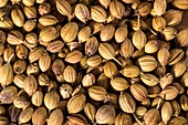 Coriander seed pods.