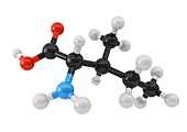 Isoleucine amino acid molecule