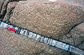 Quartz vein in igneous rock
